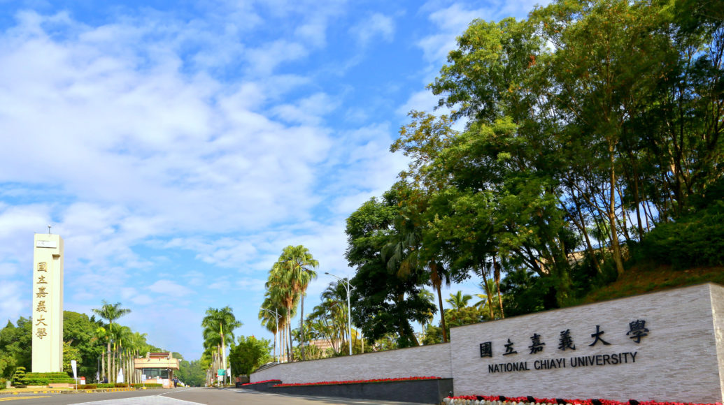 國立嘉義大學 台灣海外聯合招生委員會