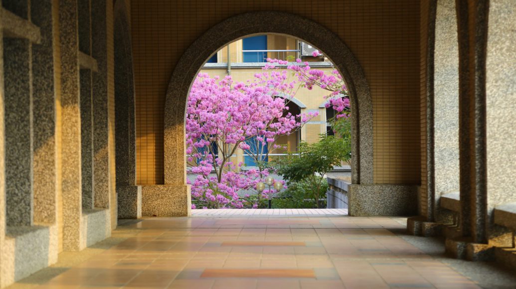 輪播-嘉大蘭潭校區圖書館一隅