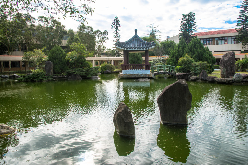 改變，從僑生先修部開始