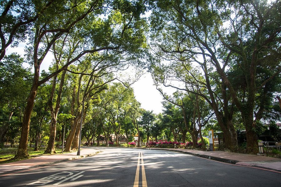 改變，從僑生先修部開始