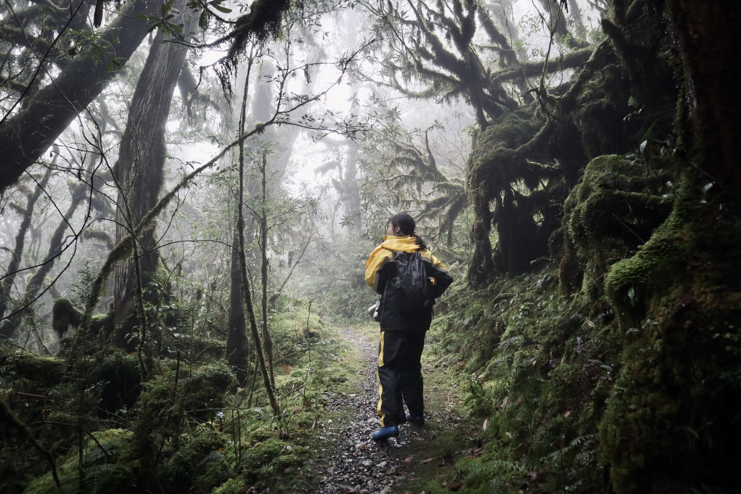 香港學生求學心得