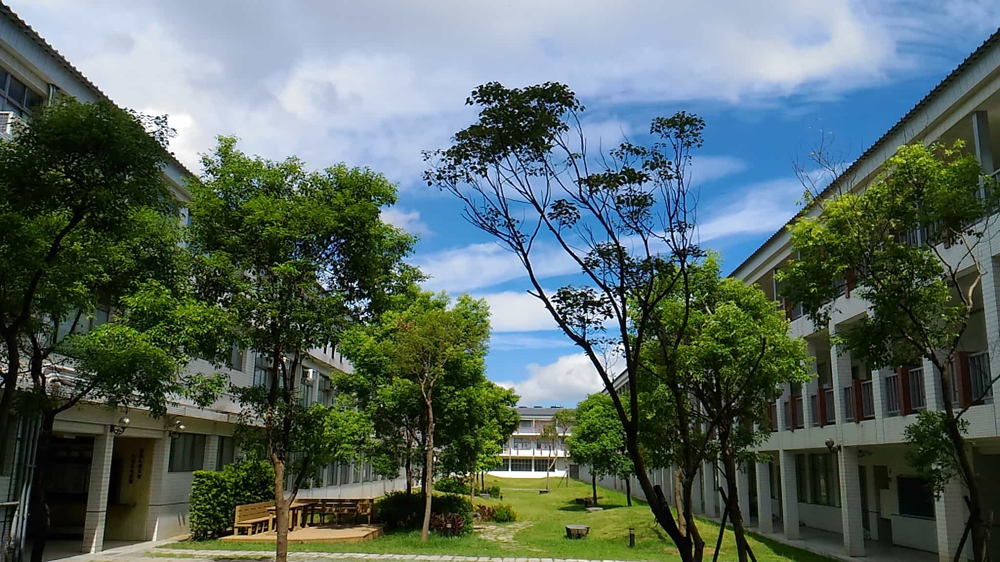 明日之星在醒吾，醒吾科大線上教育展